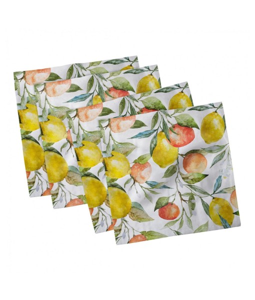 Nature Set of 4 Napkins  18