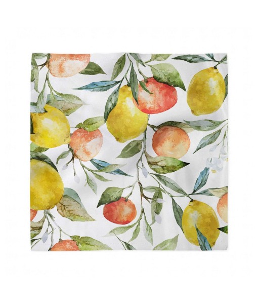 Nature Set of 4 Napkins  18