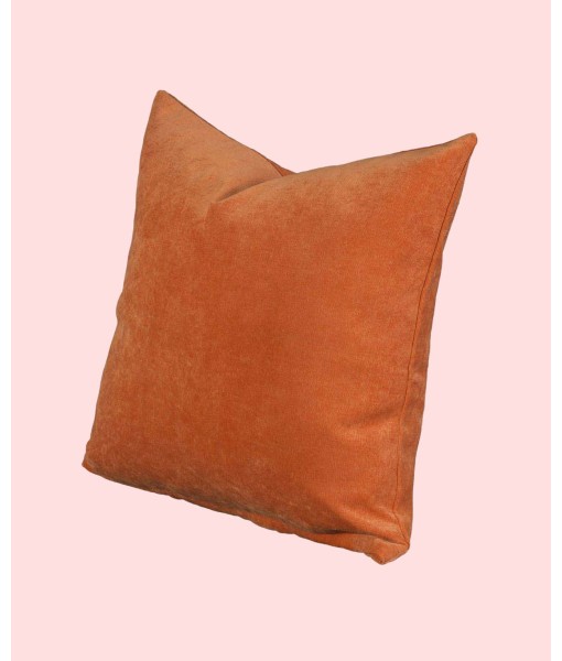 Padma Decorative Pillow  16