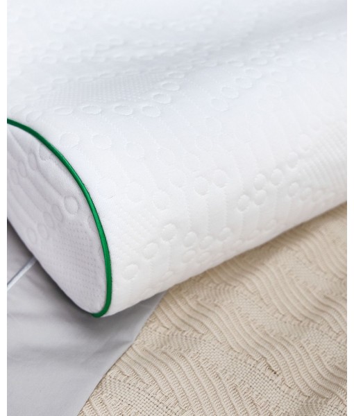 Fresh and Clean Classic Contour Memory Foam Pillow with Ultra-Fresh Treated Fabric  Standard