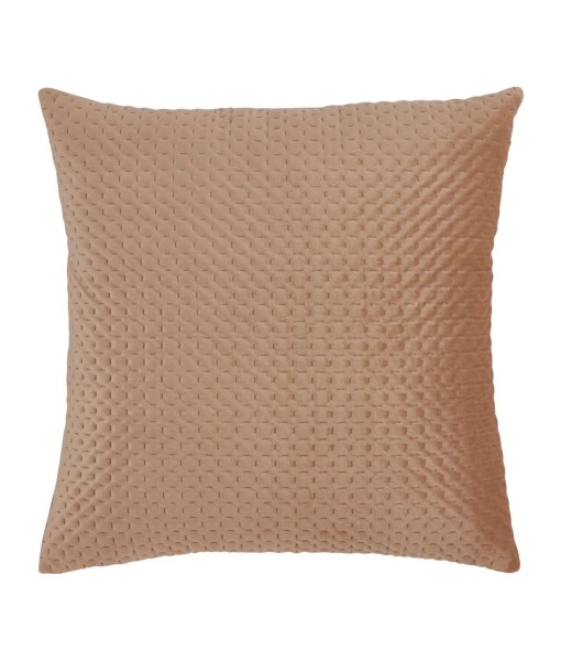 Pinsonic Velvet Decorative Pillow  18