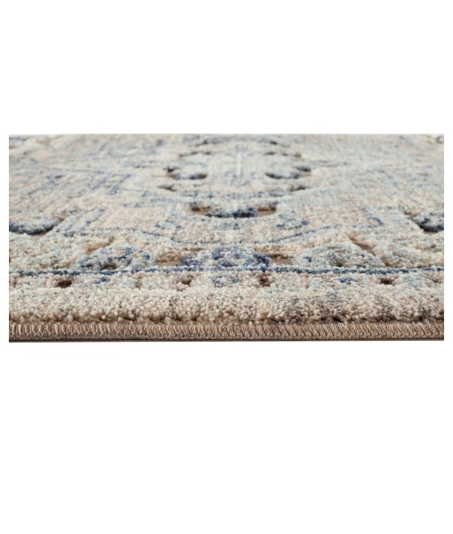 Randy Turkish Mystic Chenille Accent Rug  40